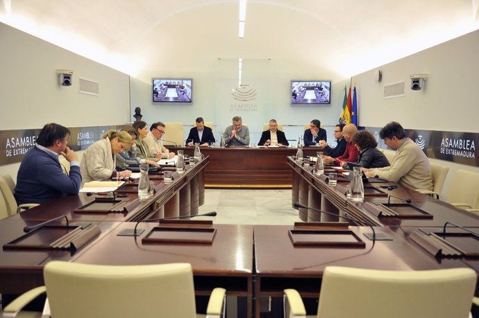 Reunión de la comisión no permanente de estudio sobre financiación autonómica abierta en la Asamblea de Extremadura
