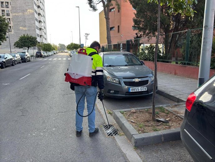 Castelló intensifica los trabajos contra la proliferación de plagas de mosquitos