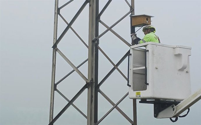 Instalación de cajas nido.