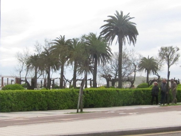 Archivo - Jardines De Piquío, Santander