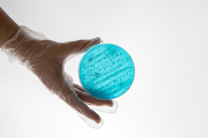 La Dirección General de Salud Pública y Ordenación Farmacéutica de la Consejería de Salud y Consumo declara inactivo el segundo de los brotes de sarampión detectado este año, declarado en una guardería en Fuengirola.