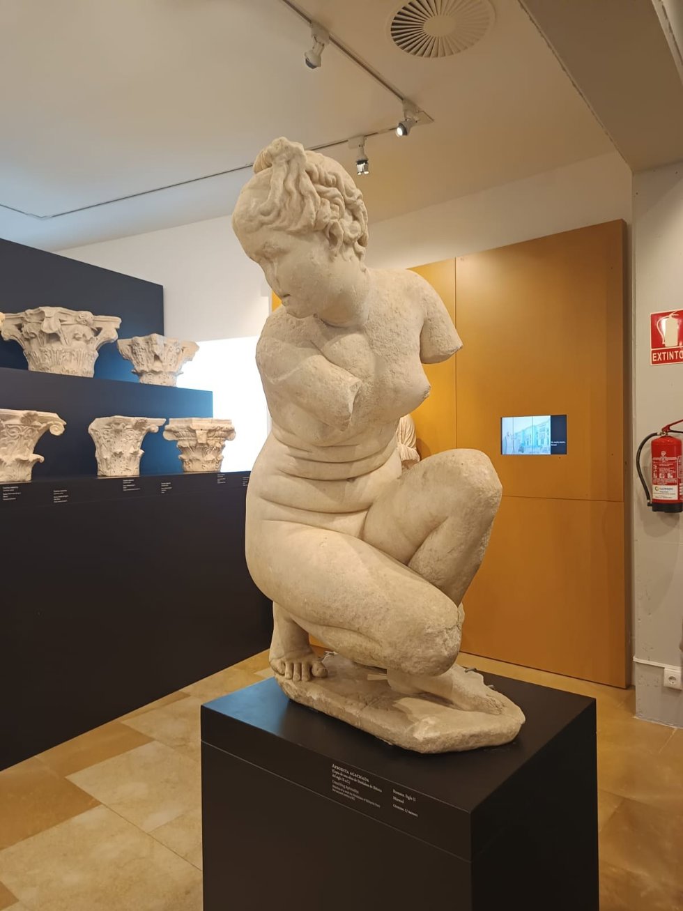 La Afrodita agachada forma parte de las visitas guiadas que, bajo la denominación de 'Córdoba, encuentro de culturas', se ofrecen en el Museo Arqueológico de Córdoba.
