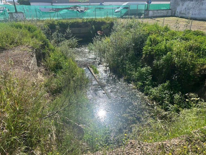 Charca de agua corrompida en un solar de Palma del Río que IU advierte que puede ser un "auténtico paraíso" para el Virus del Nilo.