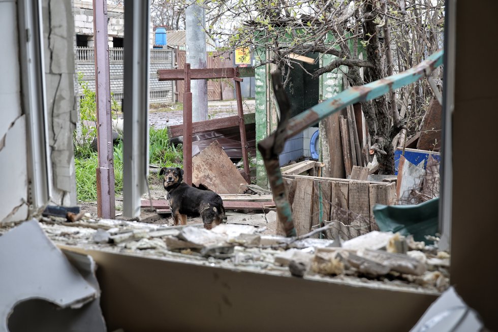 April 16, 2025, Odesa, Ukraine: A dog stays in the yard of a house damaged by an overnight Russian drone attack in Odesa, Ukraine, on April 16, 2025.