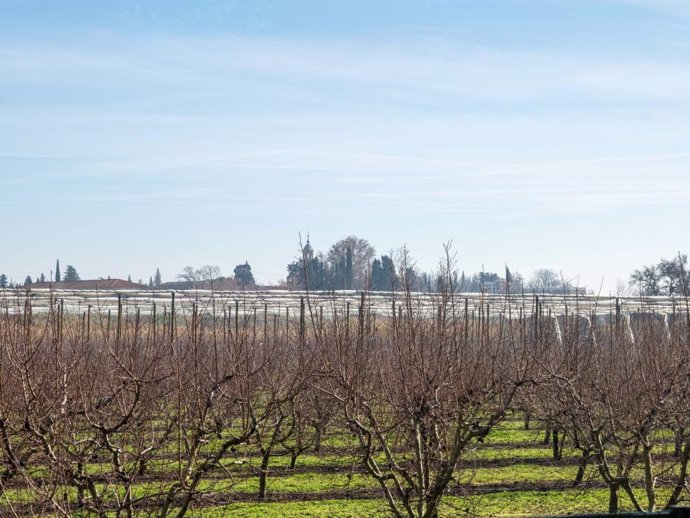 Estas ayudas van a permitir el desarrollo de 280 acciones formativas para agricultores a lo largo de 2025.