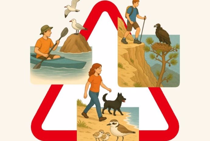 Recomendaciones para evitar molestar a las aves.