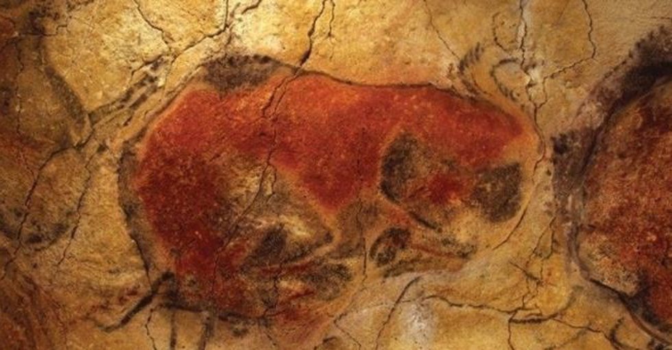 Archivo - Bisontes de la cueva de Altamira (Archivo)