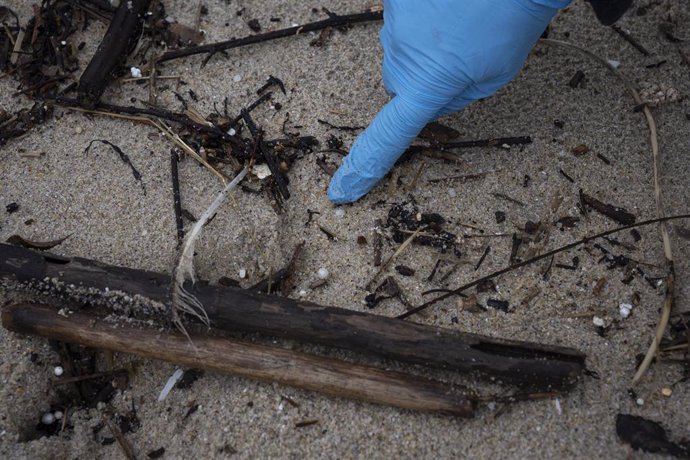 Archivo - Un voluntario recoge pellets en la playa de Samil, a 10 de enero de 2024, en Vigo, Pontevedra, Galicia (España). Voluntarios se han organizado para limpiar algunas playas de las provincias de A Coruña y Pontevedra a las que ha llegado el vertido