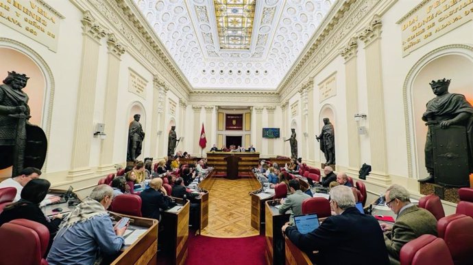 Archivo - El pleno de las Juntas Generales de Álava