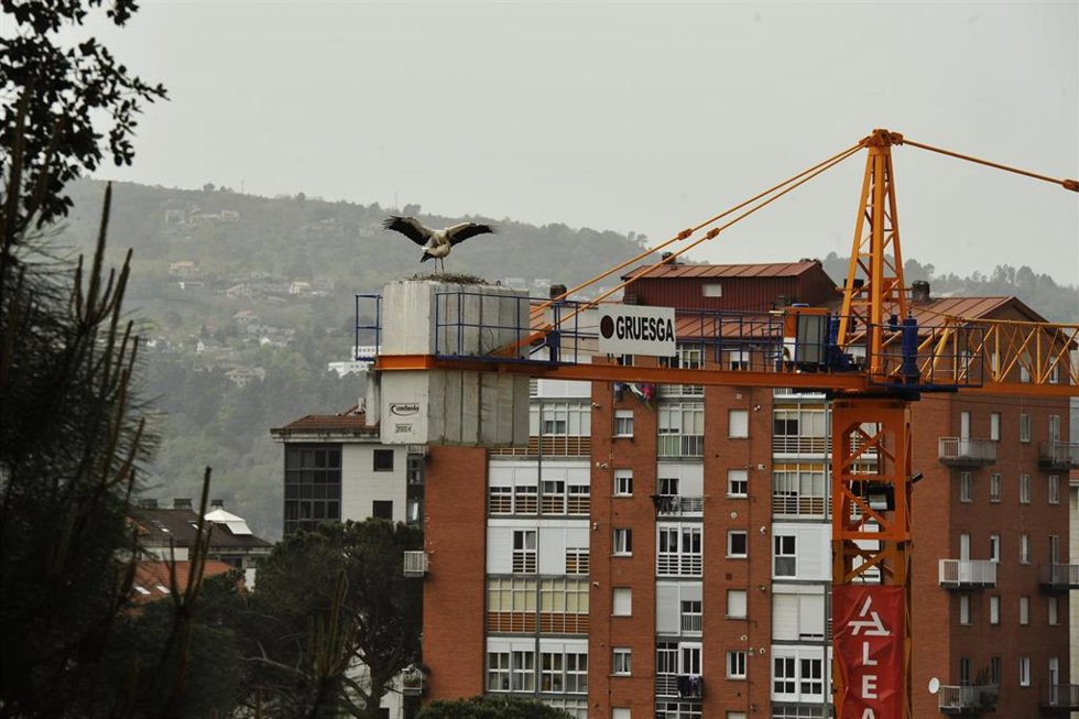 Archivo - Dos cigüeñas, conocidas como Luisa y Carlos, en un nido instalado en una grúa en el barrio de As Barrocás, a 31 de marzo de 2021, en Ourense, Galicia (España). Este es uno de los dos nidos de cigüeñas para los que Amigos das Cegoñas y Ecol