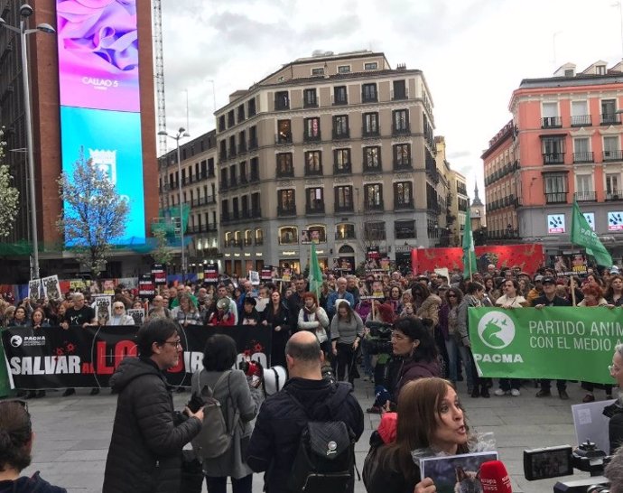 PACMA solicita una reunión urgente con Transición Ecológica para frenar el retroceso en la protección del lobo .