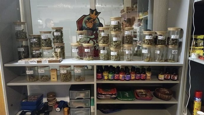 Registro en el desmantelamiento de una plantación de marihuana bajo techo