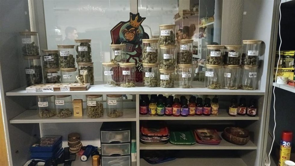 Registro en el desmantelamiento de una plantación de marihuana bajo techo