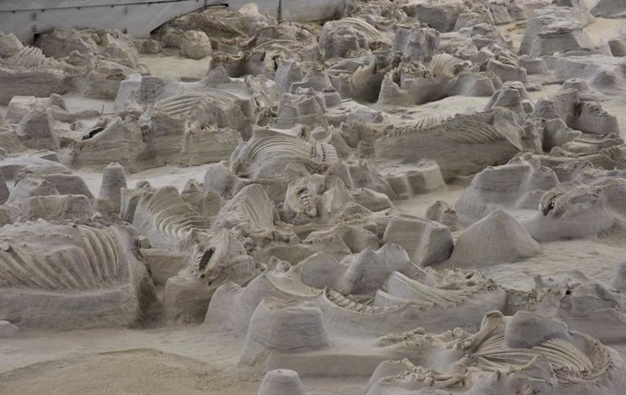 Las cenizas de la erupción de un volcán en Yellowstone preservaron más de 100 ejemplares de un rinoceronte prehistórico en el Parque Histórico Estatal Ashfall Fossil Beds de Nebraska.
