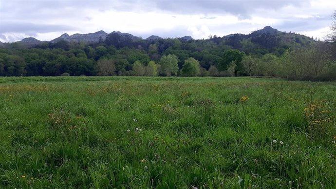Archivo - Paisaje de Cantabria