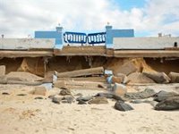 Almonte (Huelva) dice que la respuesta del Gobierno con Matalascañas "varía según el color político" del Ayuntamiento