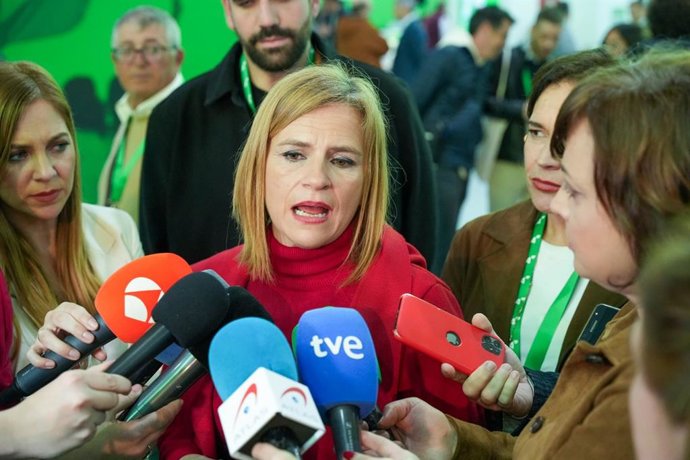 Archivo - Arquivo - A Secretária de Igualdade do Comitê Executivo Federal do PSOE, Pilar Bernabé, no 15º Congresso Regional do PSOE da Andaluzia.
