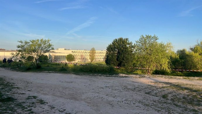 Arrancan los trabajos previos de trasplante de árboles de cara a la ejecución del cantón de limpieza de Montecarmelo