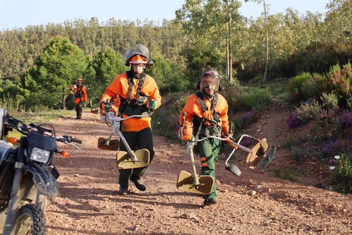 Desbroces contra incendios