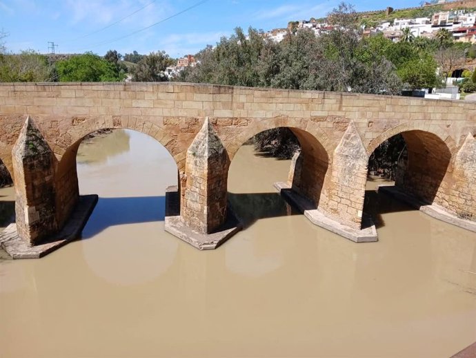 Trabajos de limpieza y mantenimiento en el Guadaíra tras las últimas crecidas del río.