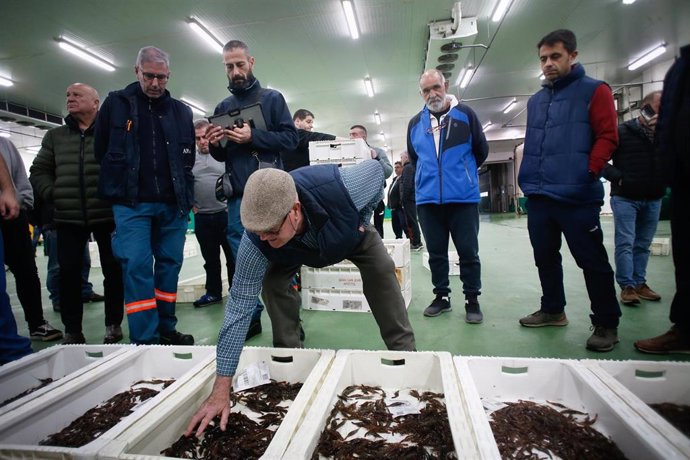 Archivo - Varias personas durante la última subasta antes de la Nochebuena, en la lonja de marisco, a 19 de diciembre de 2024, en Burela, Lugo, Galicia (España). Las subastas de marisco arrancaron este martes 17 de diciembre en la lonja de Burela, donde h