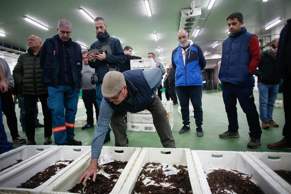Archivo - Varias personas durante la última subasta antes de la Nochebuena, en la lonja de marisco, a 19 de diciembre de 2024, en Burela, Lugo, Galicia (España). Las subastas de marisco arrancaron este martes 17 de diciembre en la lonja de Burela, donde