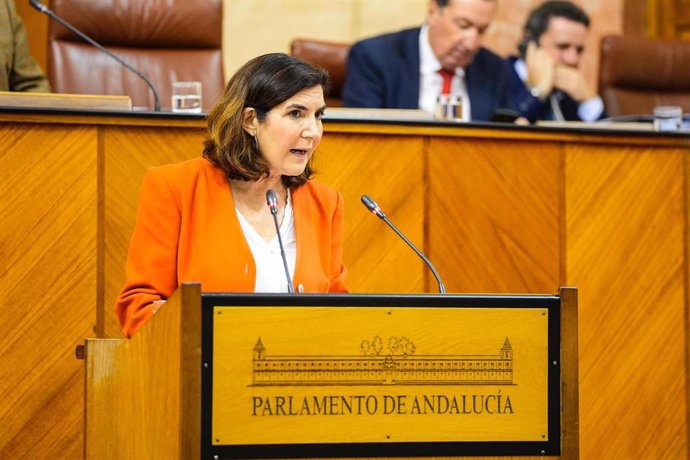 La consejera de Empleo, Formación y Trabajo Autónomo, Rocío Blanco, comparece en el Pleno del Parlamento andaluz.