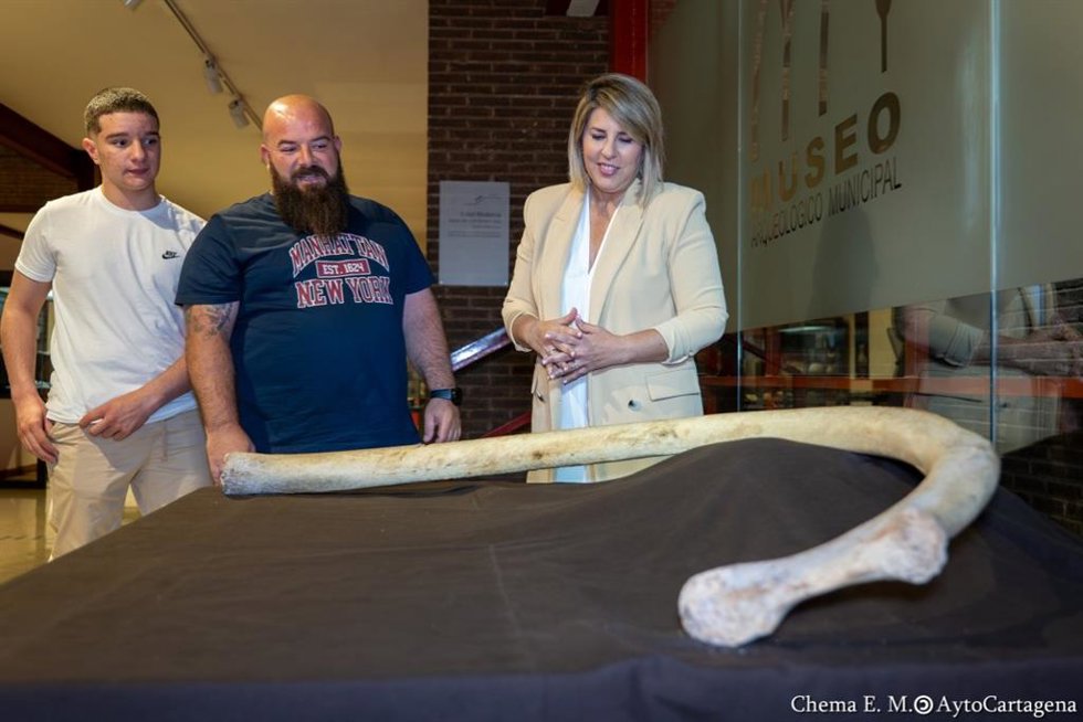Una costilla de mamut, encontrada en Cueva Victoria