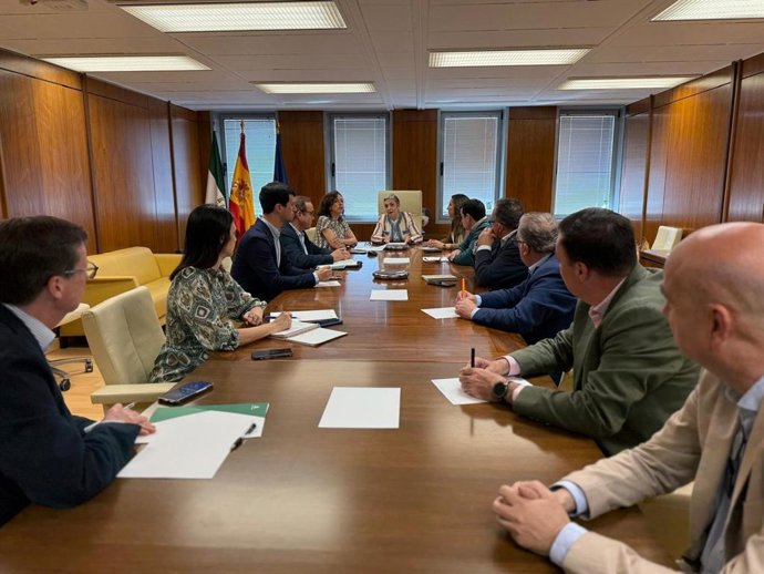 Reunión de trabajo de la FAMP y la Junta para abordar la 'Estrategia frente al reto demográfico'.