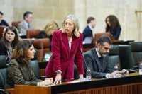 La consejera de Salud pide "dejar de politizar" la sanidad para evitar "el desencanto" de los andaluces