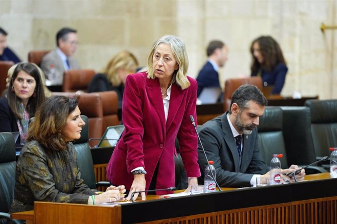 La consejera de Salud, Rocío Hernández, en una imagen de archivo en el Pleno del Parlamento.