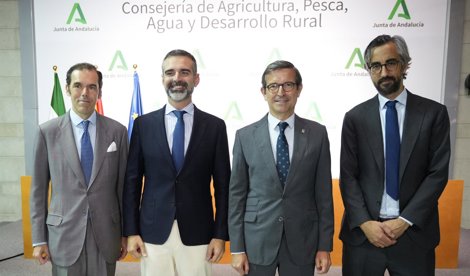 Es Andalucía - Sevilla