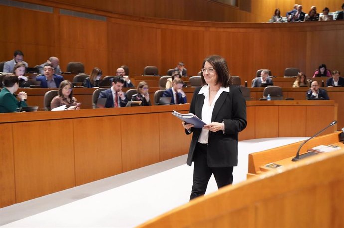 La Justicia de Aragón, Concepción Gimeno, en la sesión plenaria de las Cortes autonómicas.