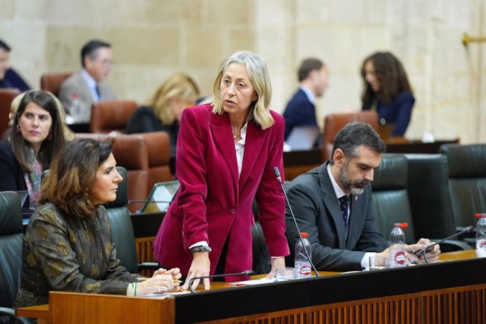A Ministra Regional da Saúde, Rocío Hernández, na sessão plenária de quinta-feira.