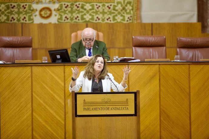 La consejera de Desarrollo Educativo de la Junta de Andalucía, María del Carmen Castillo, en el Pleno del Parlamento de Andalucía.