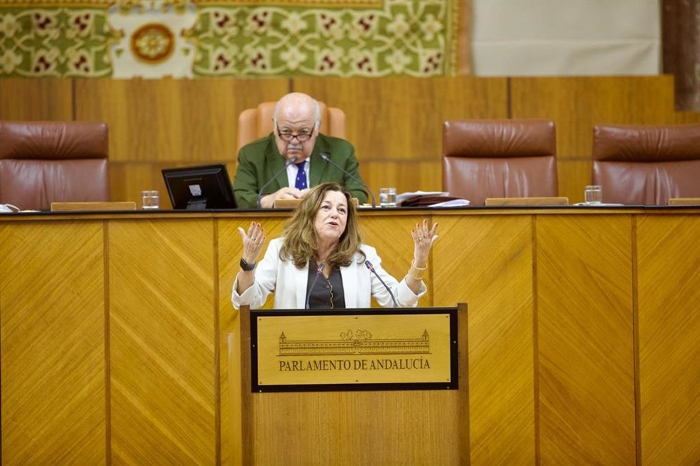 La consejera de Desarrollo Educativo de la Junta de Andalucía, María del Carmen Castillo, en el Pleno del Parlamento de Andalucía.