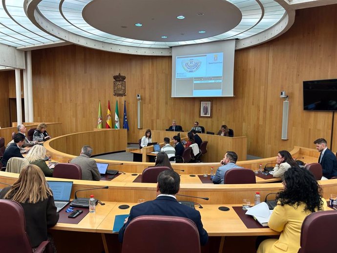 Pleno de la Diputación de Granada.