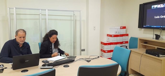 La delegada de Empleo, Ana Mata, en el seminario web sobre la convocatoria de ayudas.