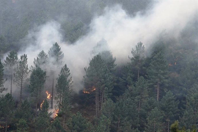 Archivo - Árboles ardiendo y humo en un incendio forestal en 2022 en Ortuella.