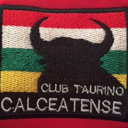 Logo del Club Taurino Calceatense