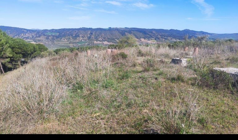 Es Andalucía - Málaga