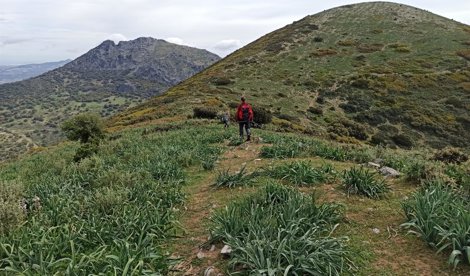 Es Andalucía - Sevilla
