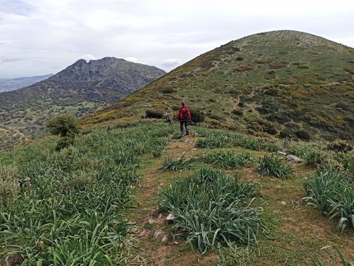 Imagen del entorno del pico del Terril, techo de la provincia de Sevilla y situado junto al Peñón de Algámitas