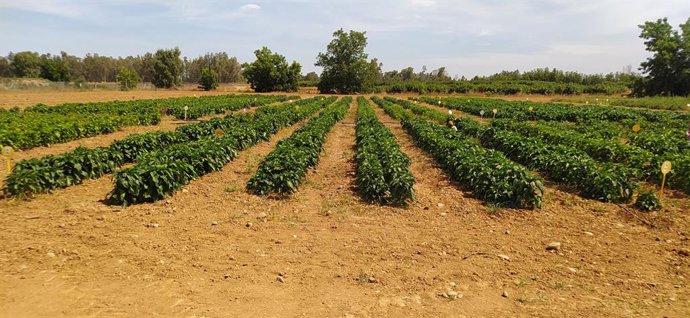 Política Agraria Comunitaria