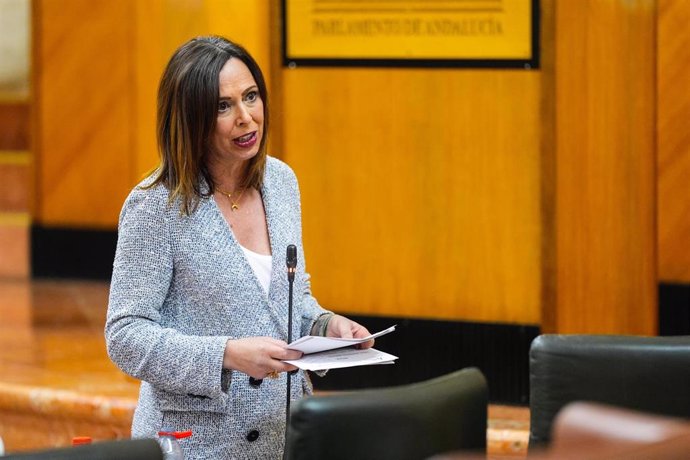 La consejera de Fomento, Articulación del Territorio y Vivienda, Rocío Díaz, en pleno parlamentario a fecha de 10 de abril de 2025.