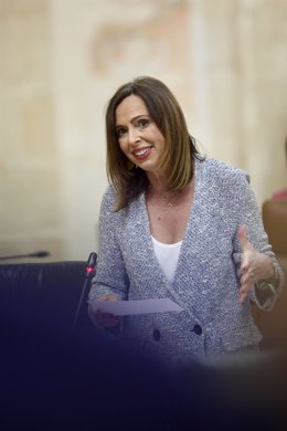 La consejera de Fomento en el pleno del Parlamento