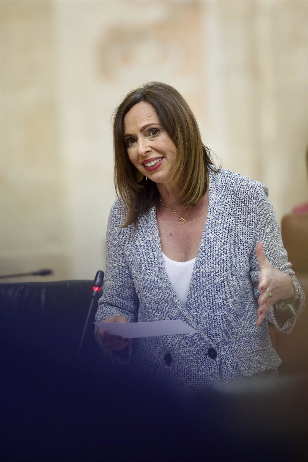 La consejera de Fomento en el pleno del Parlamento