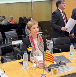 La consellera de Innovación, Industria, Comercio y Turismo, Marián Cano, en el Consejo Interterritorial de Internacionalización