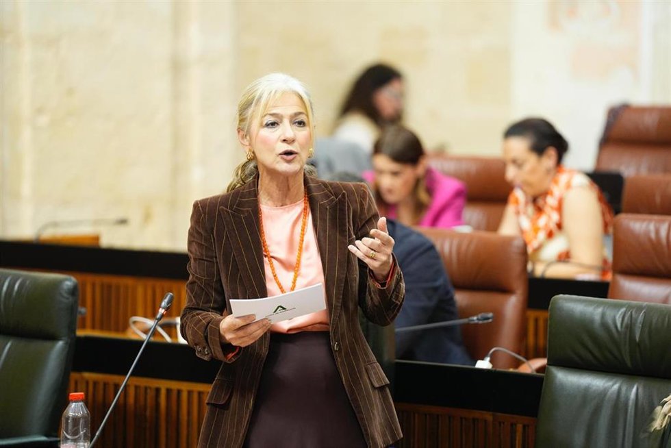 La consejera de Cultura y Deporte, Patricia del Pozo, durante la sesión de control del Pleno del Parlamento.