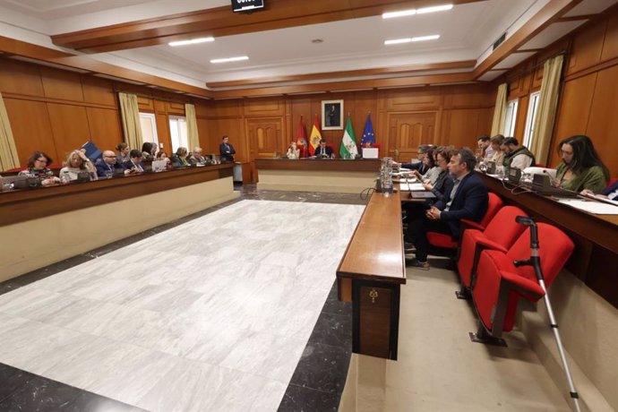 Celebración del Pleno Ordinario del Ayuntamiento de Córdoba.